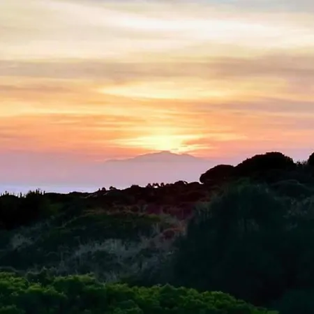 Marbesa